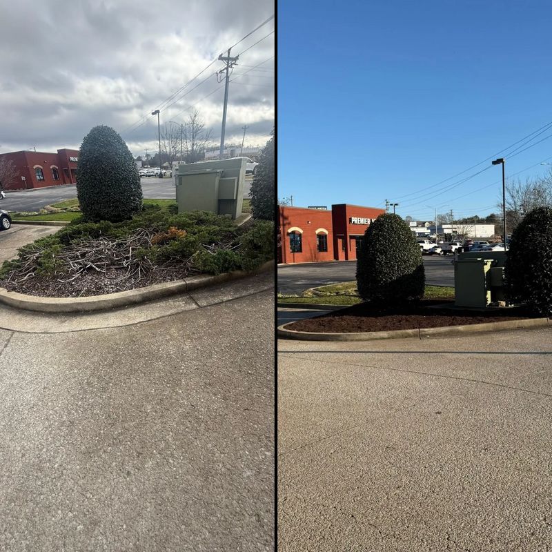 Mulch Installation