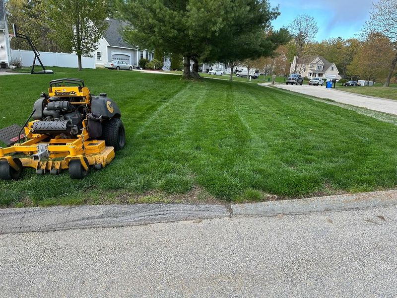 Lawn Care & Maintenance