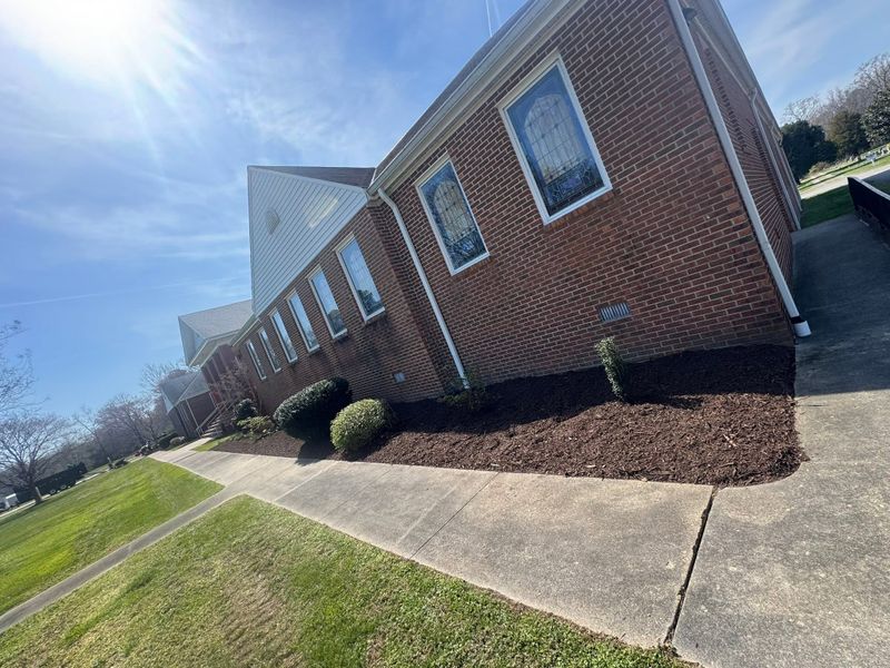 Tree & Shrub Care