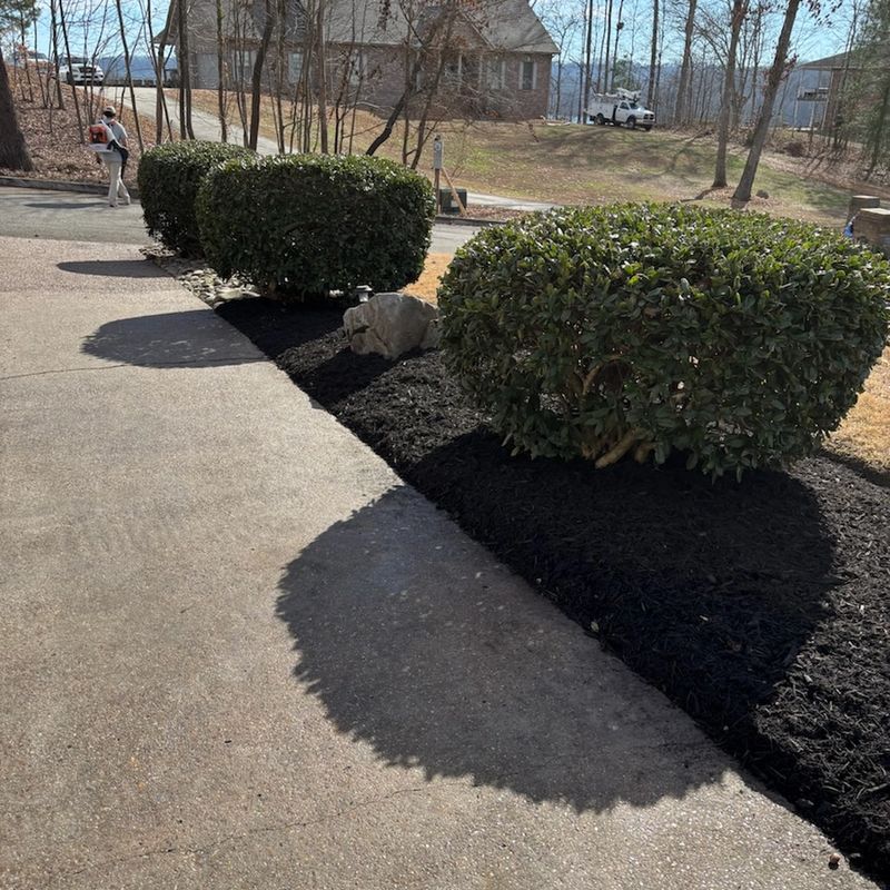 Shrub Trimming