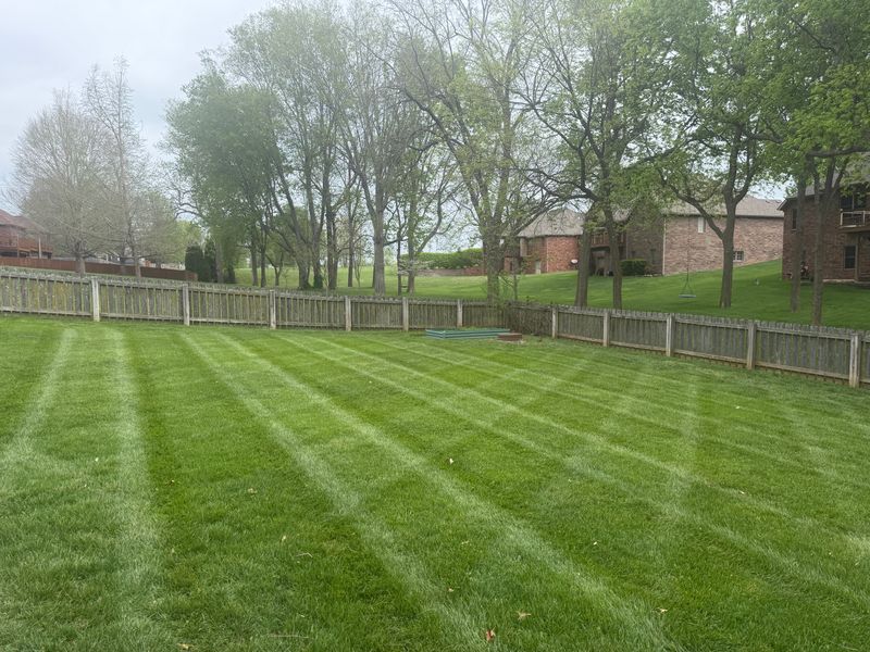 Lawn Mowing