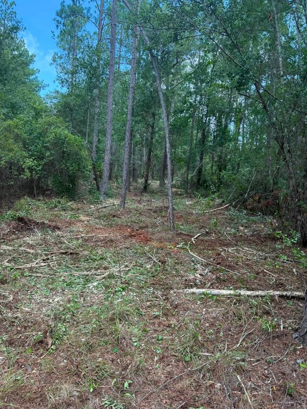 Land Clearing