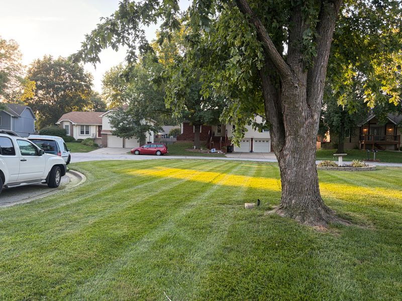 Lawn Mowing Services