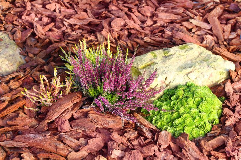 Landscape Design and Installation