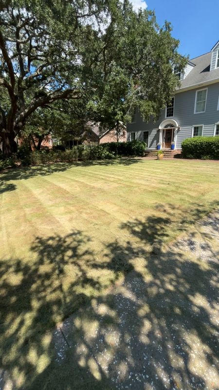 Landscape Design