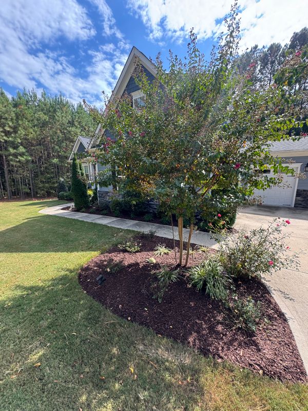 Mulch Installation