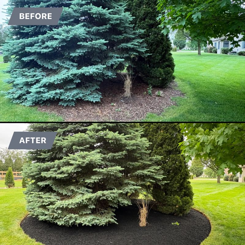 Mulch Installation