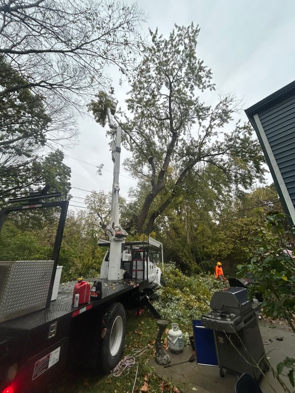 Fall Clean Up
