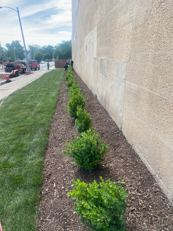 Landscaping