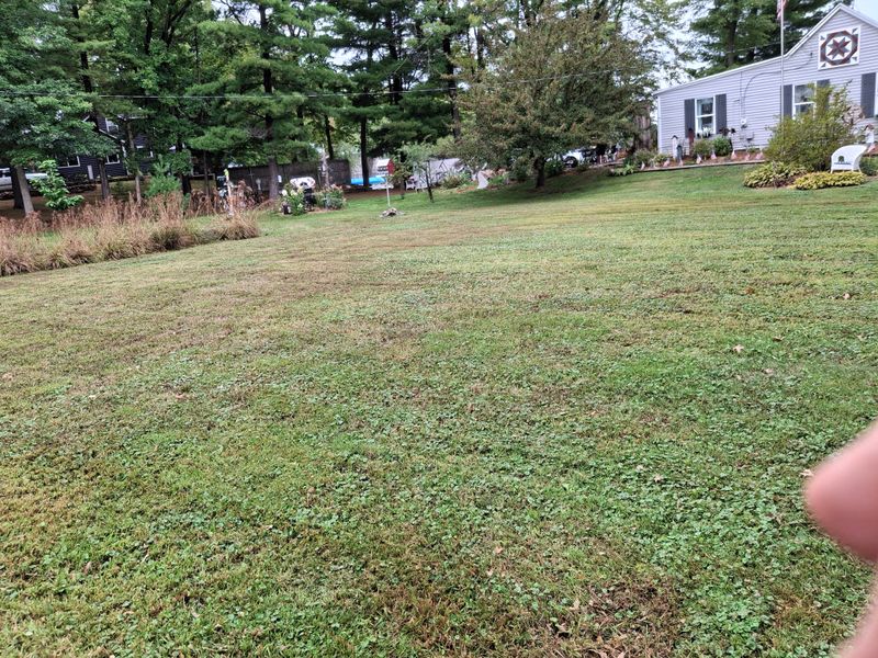 Lawn Maintenance