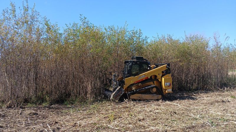 Forestry Mulching