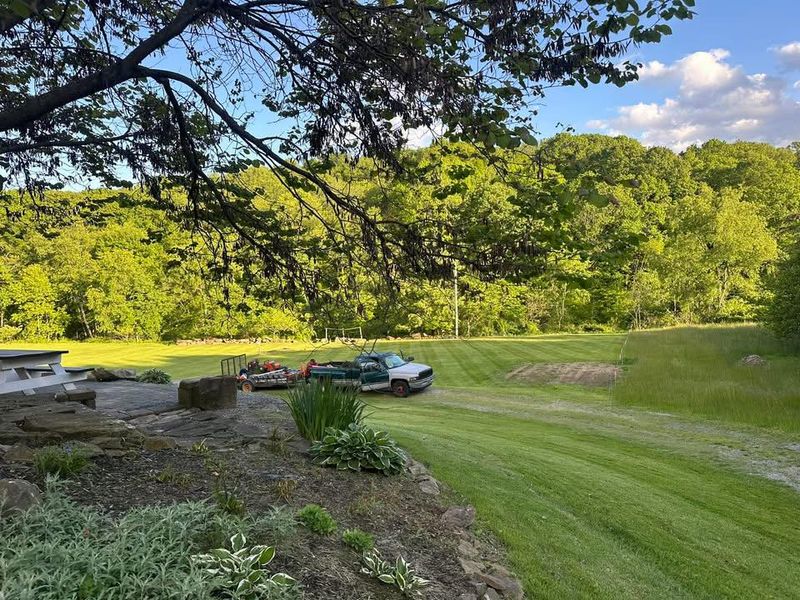 Lawn Mowing
