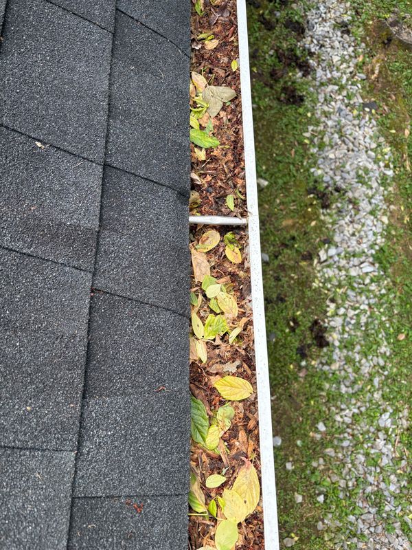 Gutter cleaning/ powerwashing/ soft washing