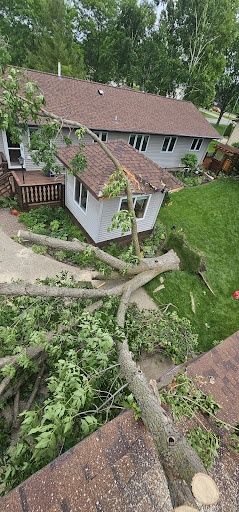 Tree Removal