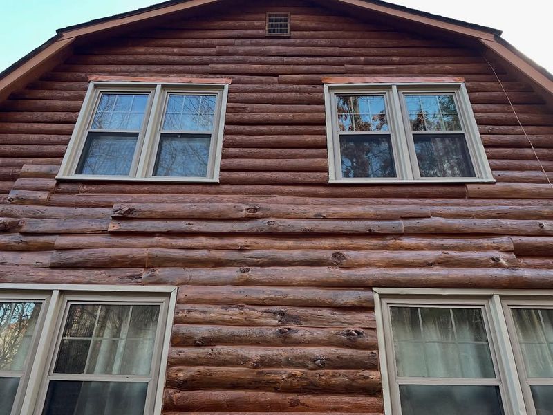 Log Repair