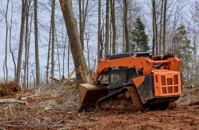 Brush Clearing