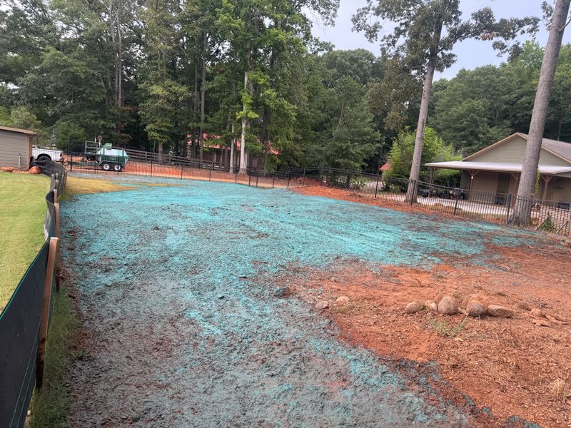 Hydroseeding gallery