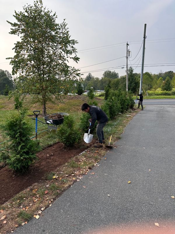 Tree & Perennial Planting