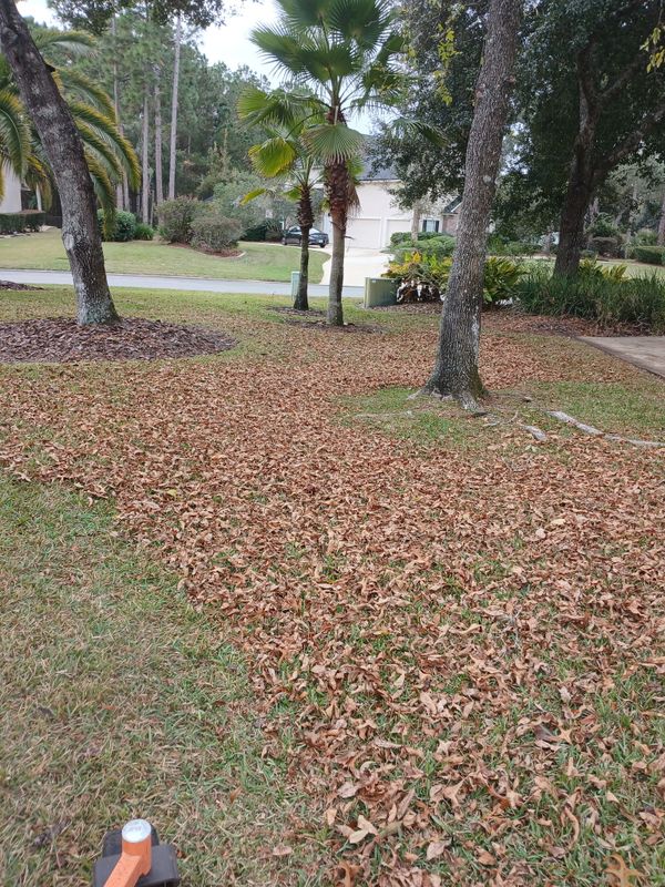 Fall Clean Up