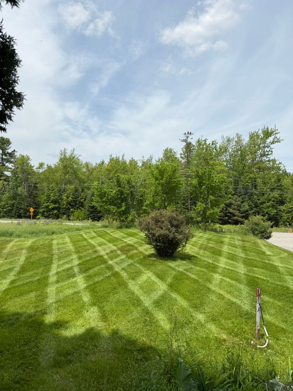 Lawn Maintenance