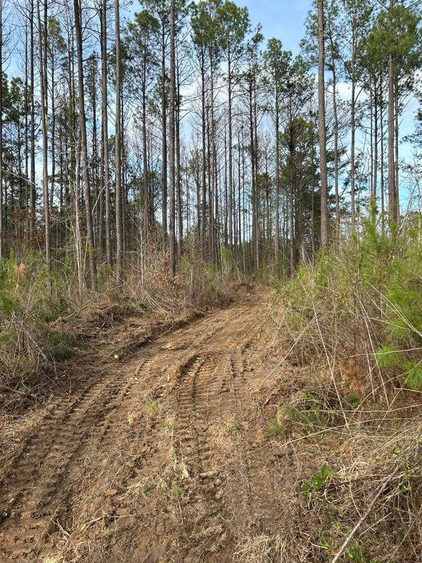 Land Clearing