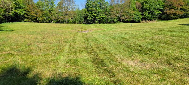 Lawn Mowing