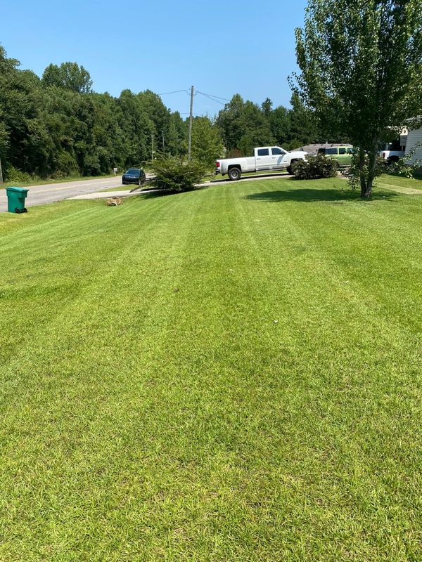 Lawn Mowing