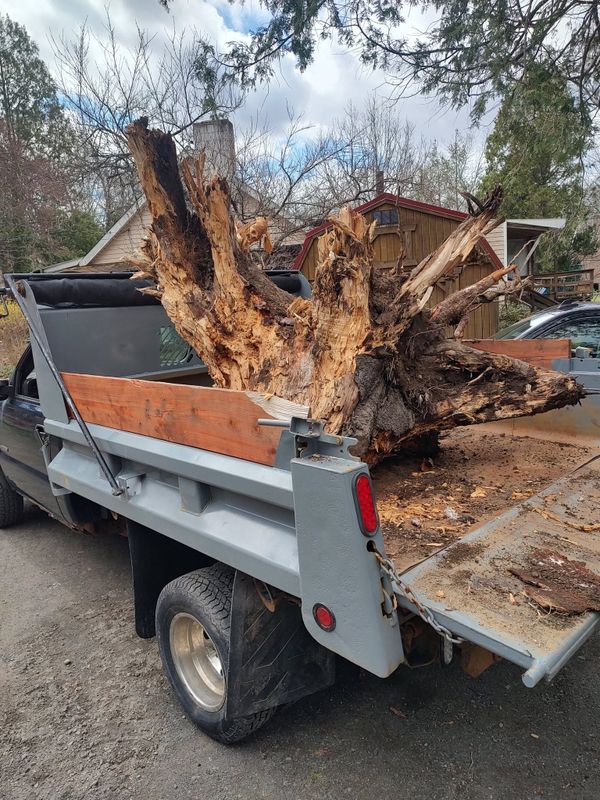 Land Clearing and Site Preparation