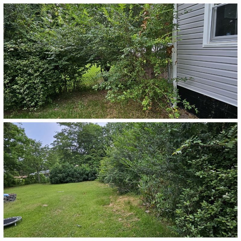 Brush Clearing