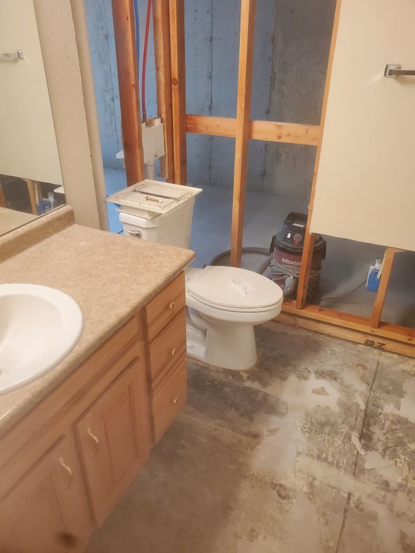 Mold Remediation
