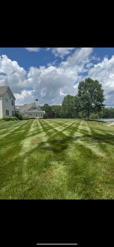 Lawn Maintenance