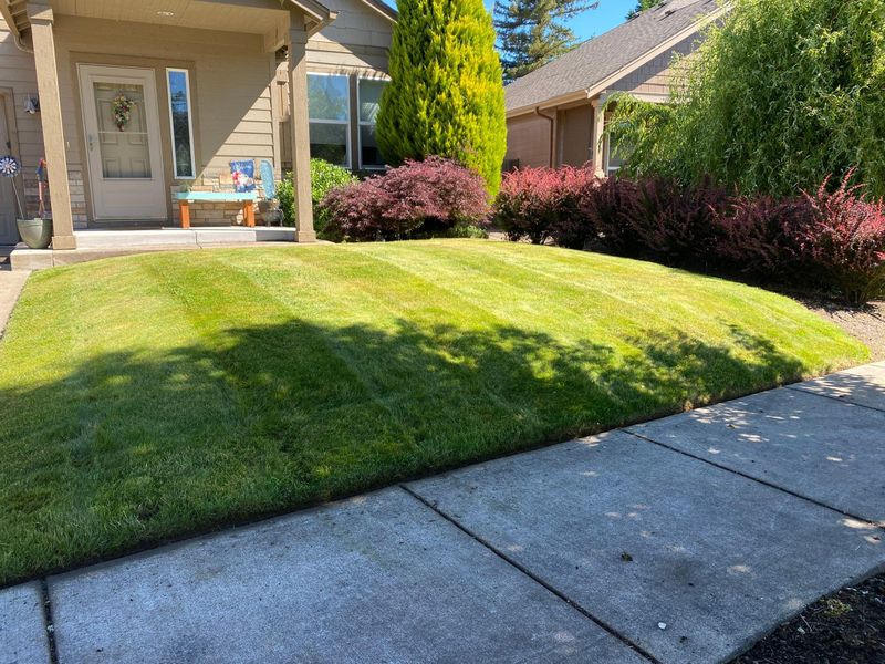 Lawn Maintenance