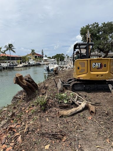 Stump Removal
