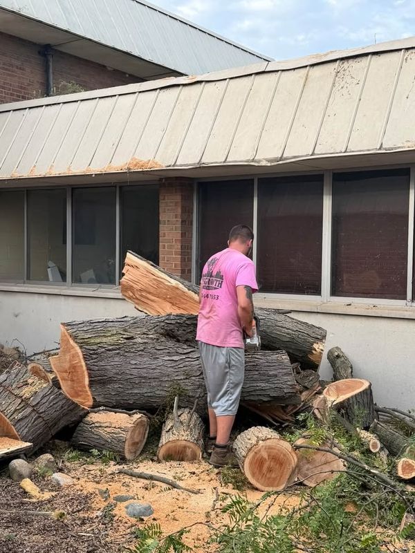 Tree Removal