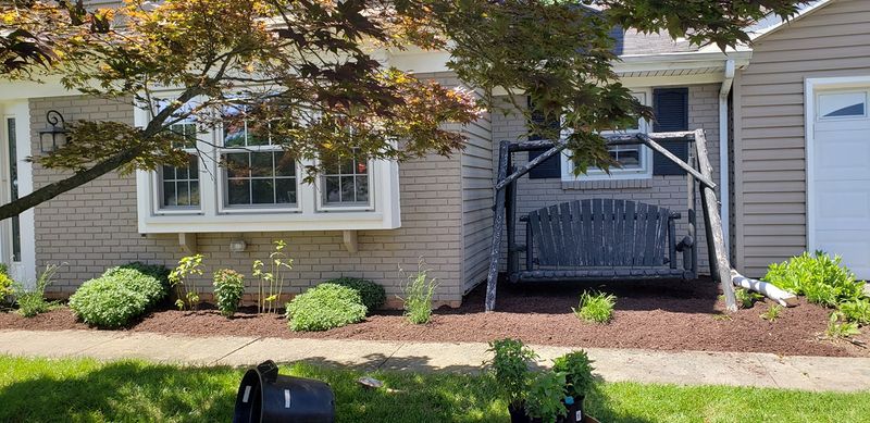 Patio Design & Construction