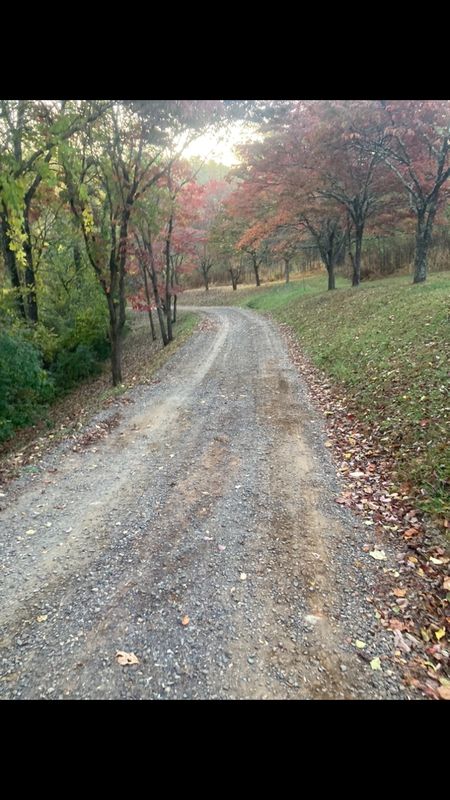 Road Regrading