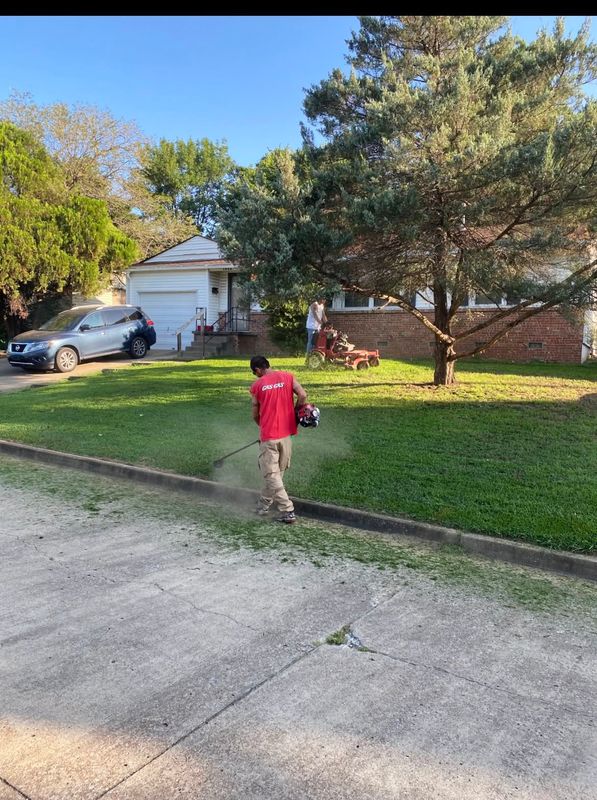 Tree & Shrub Care
