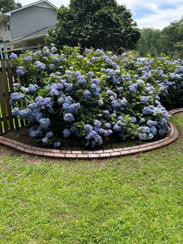 Concrete Edging