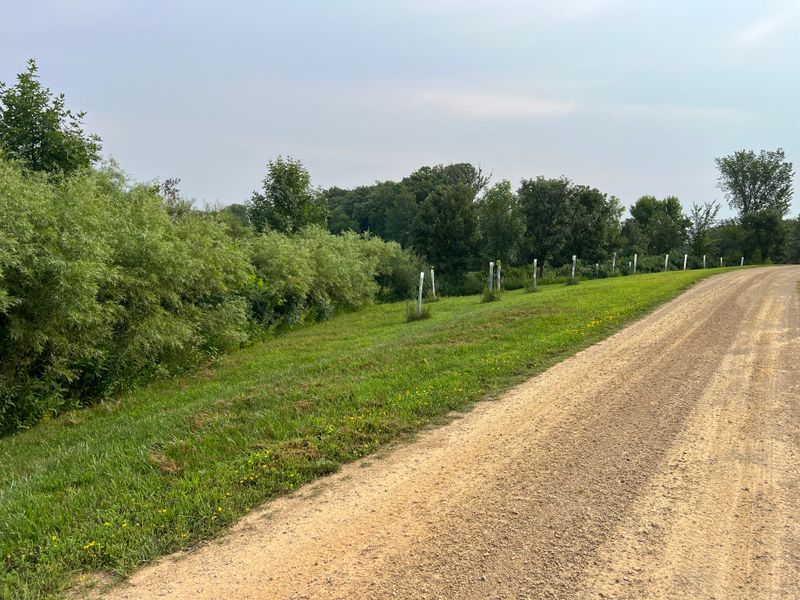 Forestry mulching