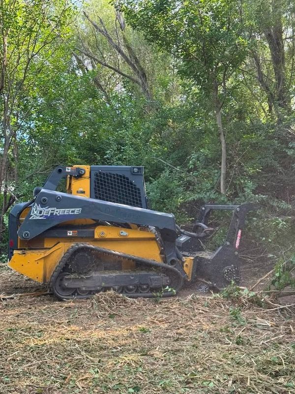 Land Clearing