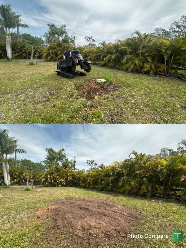 Stump Removal