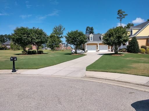 Lawn Aeration