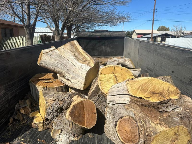 Tree Removal