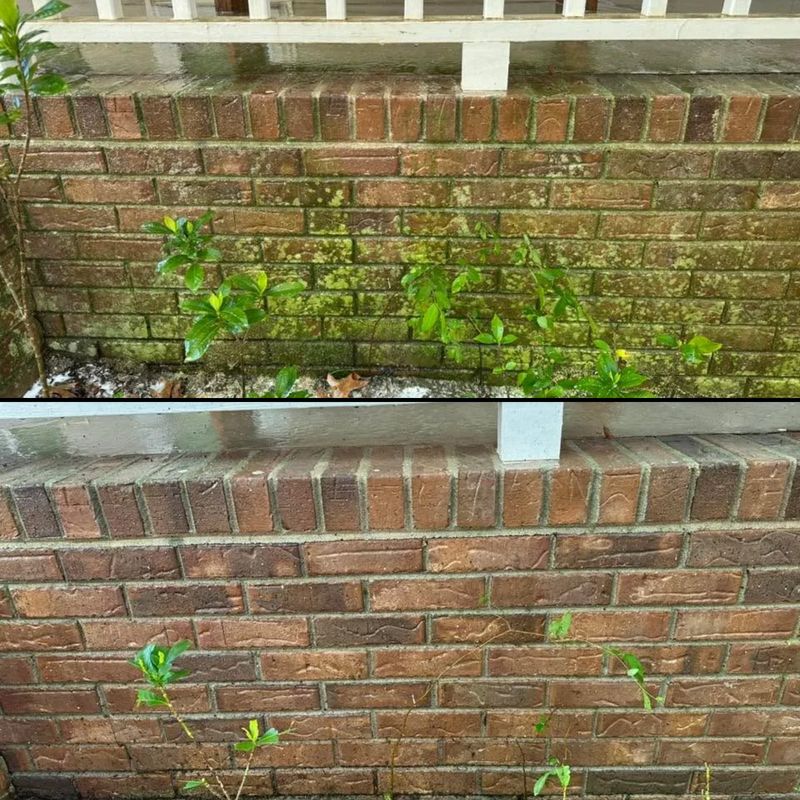 Home Exterior Cleaning