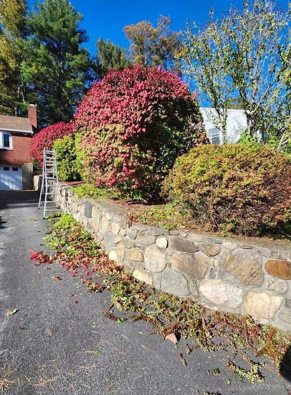 Fall Cleanups