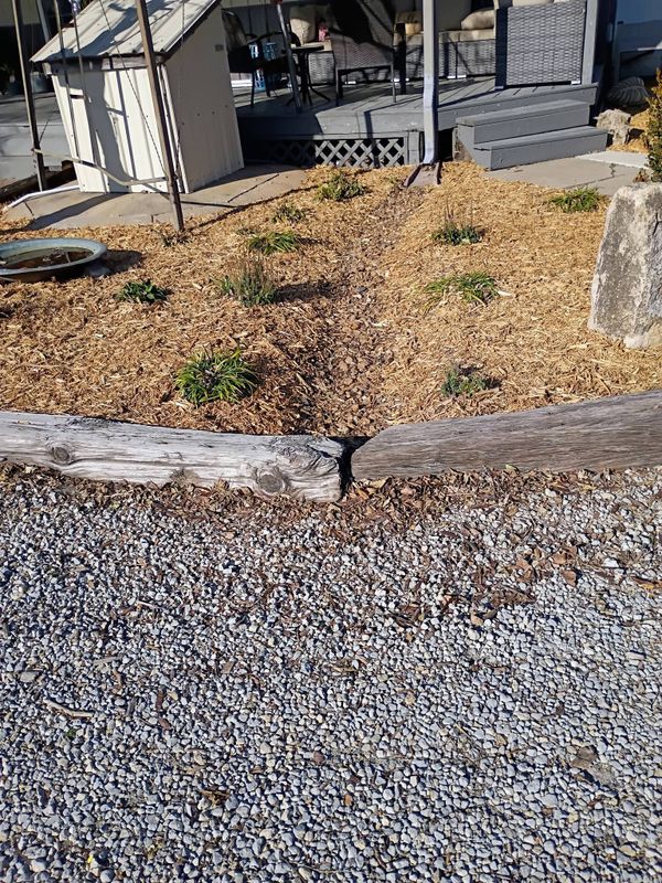 Landscape Design
