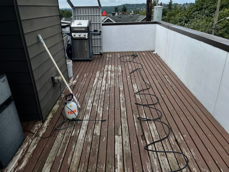 Deck Staining