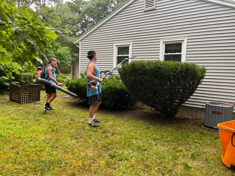 Shrub Trimming gallery