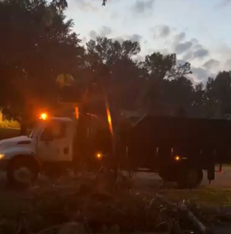 Tree Debris Removal
