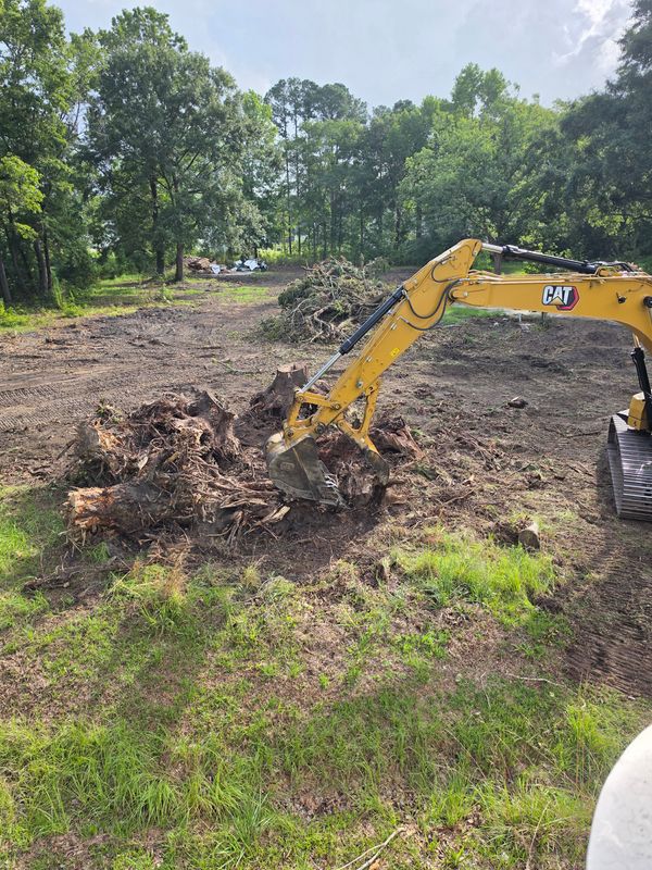 Stump Removal